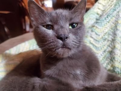 sneuwhite's profile picture. 