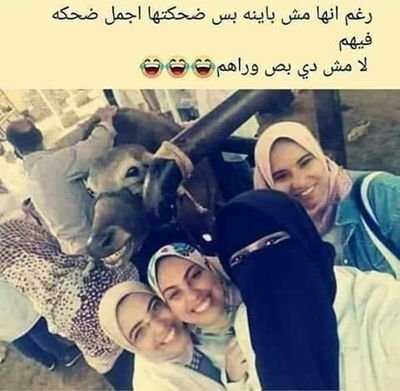 Y5pG5HI9APtcGgH's profile picture. اقوال كثيره فى زمن قل فيه الأفعال