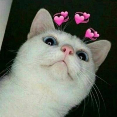 Tengo cuatro gatines. Digo chomba en vez de sweater y no sé nadar.