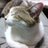 yamachu_mauka's profile image