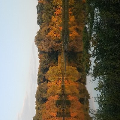 LeaMay04's profile picture. Who did that!? 🧐🤯🤪