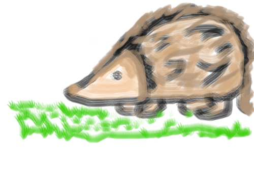 FirthFalcon's profile picture. 