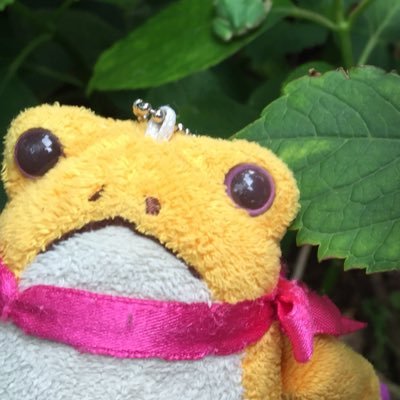 ころりん