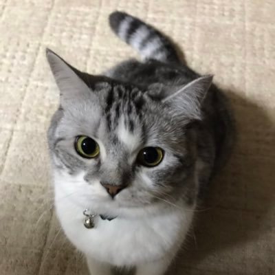 seigo_0301_'s profile picture. 