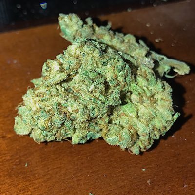 _BandiT_31's profile picture. 