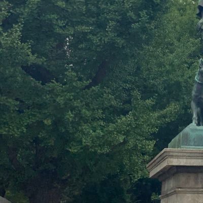 hukkatunoszmkai's profile picture. 休みたい