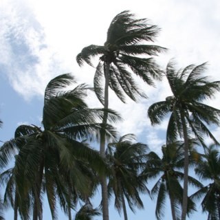 waardh63's profile picture. 