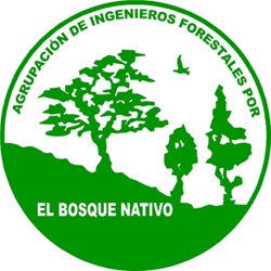 Agrupación de Ingenieros Forestales por el Bosque Nativo - AIFBN