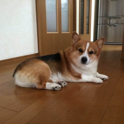 KN55P0BRhDMHxIO's profile picture. いわき市在住。野球、ラーメン、サウナが大好き。雑把/しをん/輝などに出没。保護猫姫と保護猫坊主にメロメロな毎日。