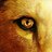Rafael Monteiro's Twitter (X) avatar