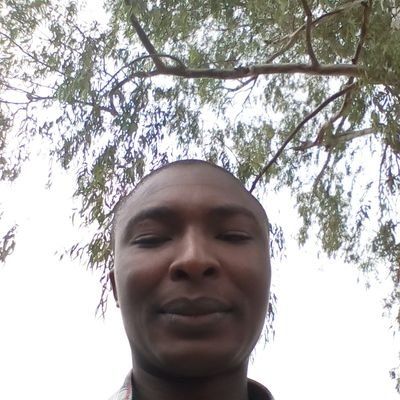 timwatfa's profile picture. 