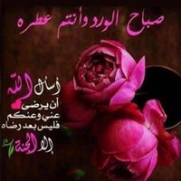 Sabir Shah (@sabirsh55898267) 's Twitter Profile