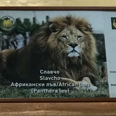 slavistas's profile picture. Левски, Гунди, Костов