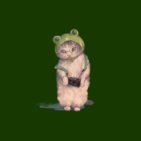 堀内レイ🐸 (@hrei01) 's Twitter Profile