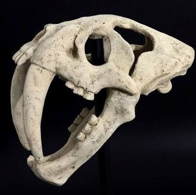 d3_wifi's profile picture. 