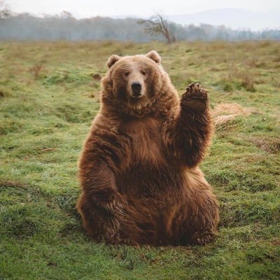 WillofSnow's profile picture. still recovering from church