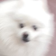 망さんのプロフィール画像