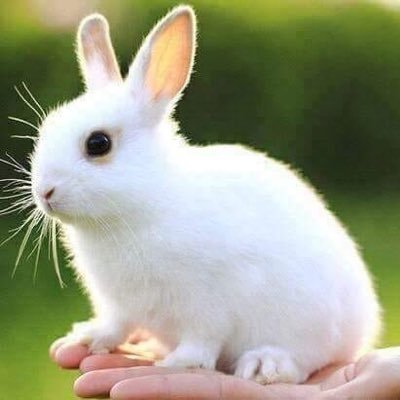 moodyibrahim6's profile picture. culture