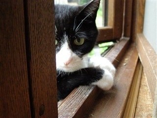 kasenpapa's profile picture. はじめまして。北海道住んでます。
パウダースノーを板乗りし、グラトリを夢見る女子です。男の子に負けない、かっこいい(￣▽￣)滑りがしたいなあ。ボソボソっとつぶやいてみます。