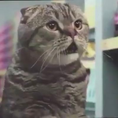 MRボスさんのプロフィール画像