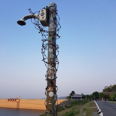 SpringWay5's profile picture. 