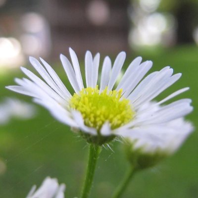 たぶん生きている。数学、物理、特に数値計算大好き。数値計算で生きている。パニック障害、うつ病とともに生きる。現在寛解。ゆるふわクリスチャン（ルター派）。信仰ってなんだろうね。リコーダー、パイプオルガン、ピアノ。 モータースポーツも好き．読書．毎日ひたすら数学と物理。