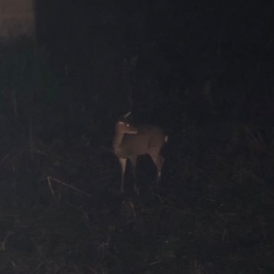 ryuto518815's profile picture. https://t.co/28LXBMHKx4  登録してくれると嬉しいです！