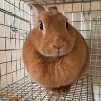 orange marron (@love2usa2) 's Twitter Profile