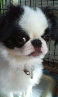 zkchaos's profile picture. 