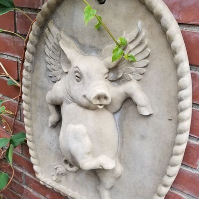 sprito_love's profile picture. セフレとの戯れ。
新規さん、随時募集中。