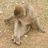jermynation's profile image