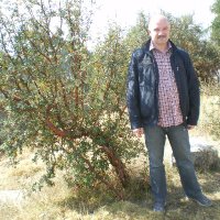Robert R. (@rrek1967) 's Twitter Profile