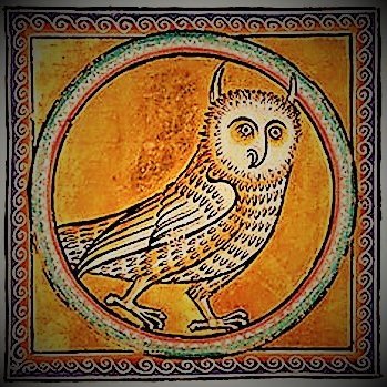 KingSolomonXRP's profile picture. here for the scraps