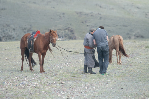 meta4team's profile picture. 