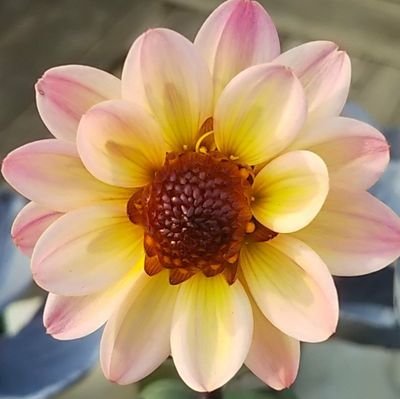 Rachid01575420's profile picture. salut