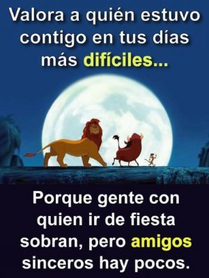 orlando98308802's profile picture. 