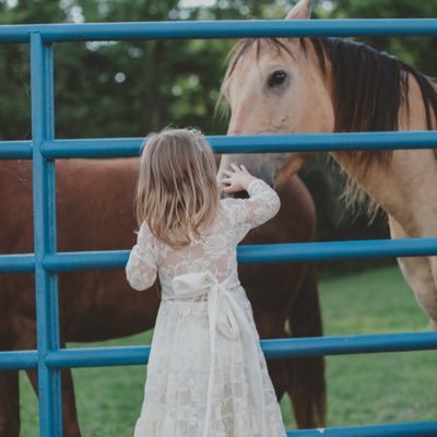 Here to help others achieve their dreams. Building confidence and character through working with our loving horses.