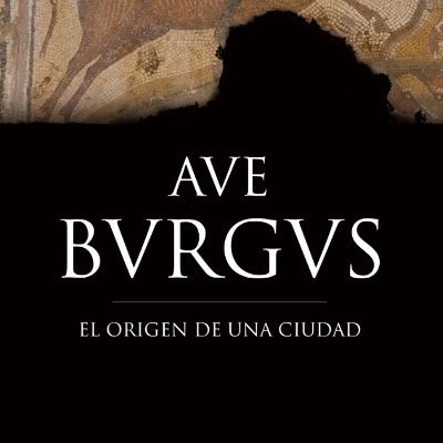 Ave Bvrgvs es un libro de investigación que analiza  de una forma  amplia y como nunca hasta la fecha los oscuros orígenes de la ciudad de Burgos, España