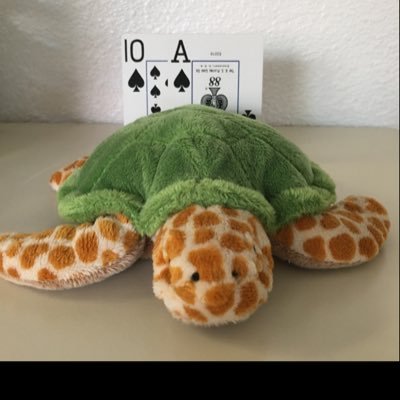 MrTurtleGambler Profile Picture