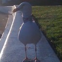 Jordan Urwin - @jurwin3 - Twitter