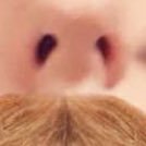 litjew's profile picture. I’m jewman Newman the most lit Jew to ever walk this earth. 😏 don’t touch me or I’ll punch you in the throat, and my mom is a ninja.I can turn invisible@litjew