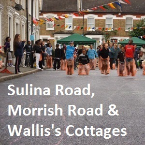 Sulina & Morrish Rd Profile