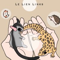 LE LIEN LINKS (フクロモモンガ・レオパ ・フトアゴヒゲトカゲなど) (@lien_links) 's Twitter Profile