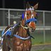 butler racing (@kristygrant21) Twitter profile photo butler racing (@kristygrant21) Twitter profile photo