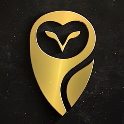 GoldenOwlAwards Profile Picture