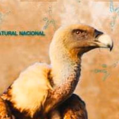 R_CAMPOS19's profile picture. Nacido y muerto en Argentina