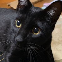 tomo@マシニング (@t_m_cnc) 's Twitter Profile
