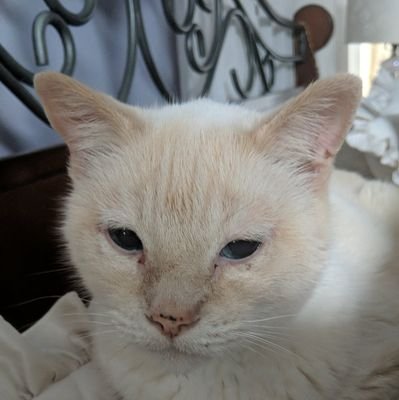 SneakersPoetry's profile picture. im Sneakers yor frend 🌈 2003-2023