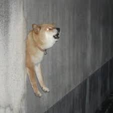 I aim in wall