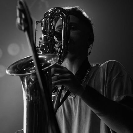 Saxofonista-Canturreante
La Skandalosa Tripulacion
🐅🐄🐁🐇🐆🐈🐊🐌🐕